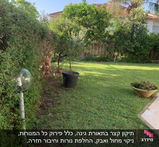 גינה עם מנורת גינה חשמלית על עמוד